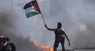 Ilustrasi Kerusuhan Di Palestina.
